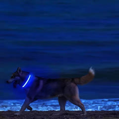LED Dog Collar – Nylon Light - Up Safety Collar with Reflective Glow - Onlytenbucks.com