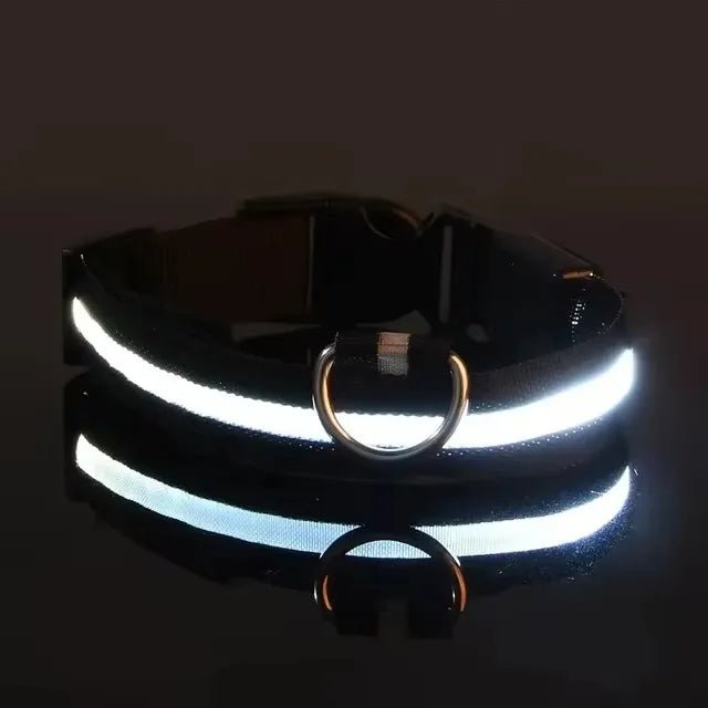 LED Dog Collar – Nylon Light - Up Safety Collar with Reflective Glow - Onlytenbucks.com