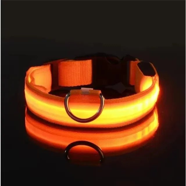 LED Dog Collar – Nylon Light - Up Safety Collar with Reflective Glow - Onlytenbucks.com