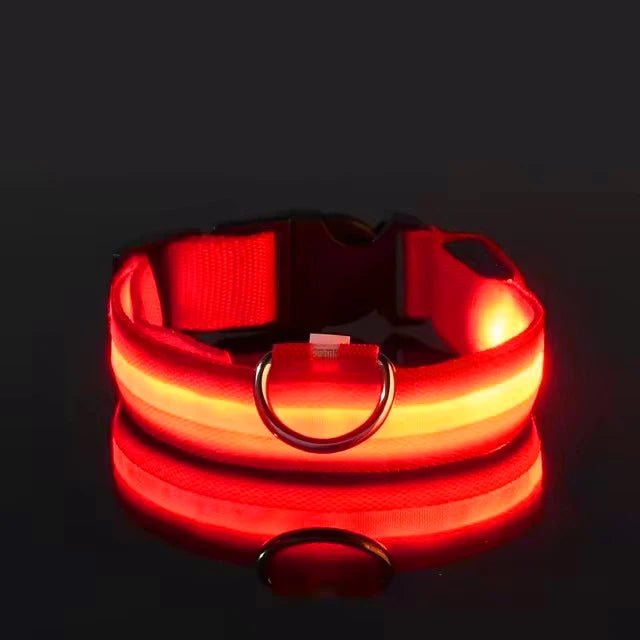 LED Dog Collar – Nylon Light - Up Safety Collar with Reflective Glow - Onlytenbucks.com
