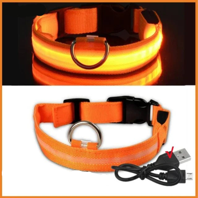 LED Glowing Dog Collar – Adjustable Rechargeable Luminous Night Safety Collar - Onlytenbucks.com