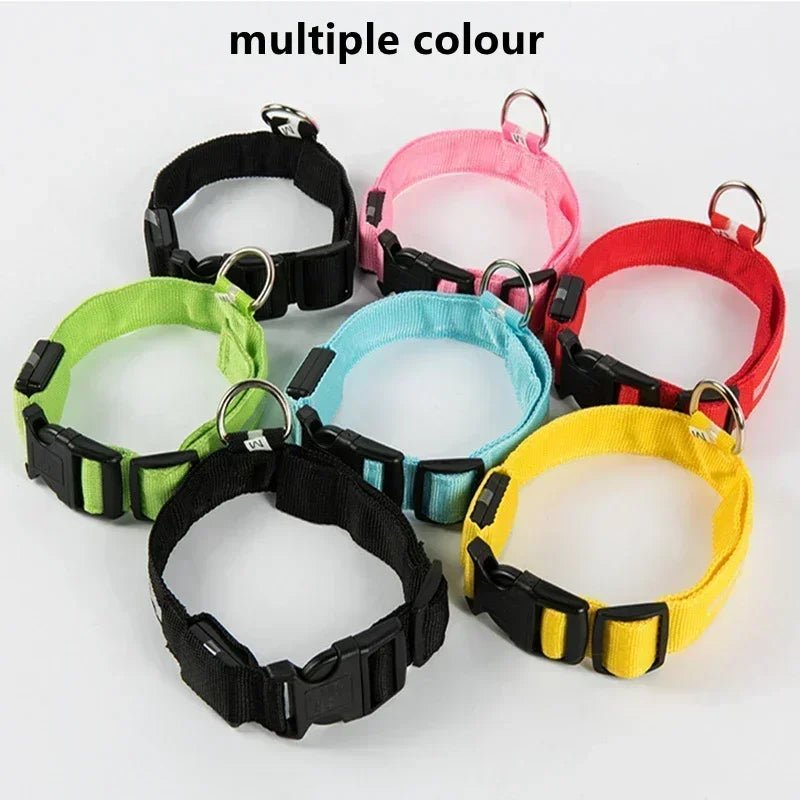 LED Glowing Dog Collar – Adjustable Rechargeable Luminous Night Safety Collar - Onlytenbucks.com