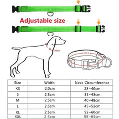 LED Glowing Dog Collar – Adjustable Rechargeable Luminous Night Safety Collar - Onlytenbucks.com