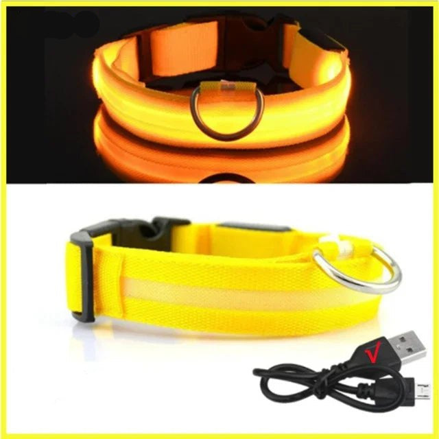 LED Glowing Dog Collar – Adjustable Rechargeable Luminous Night Safety Collar - Onlytenbucks.com