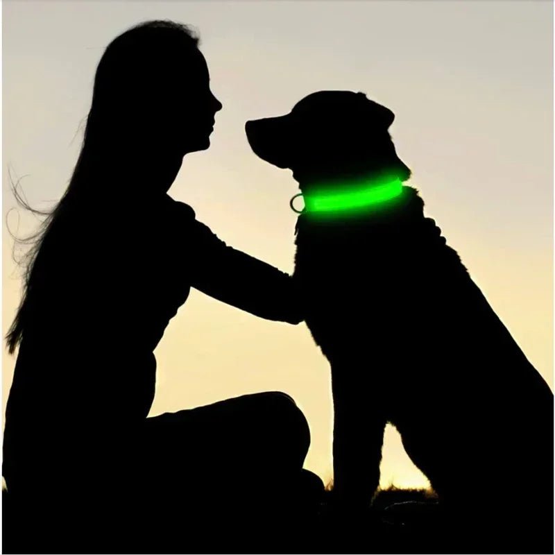 LED Glowing Dog Collar – Adjustable Rechargeable Luminous Night Safety Collar - Onlytenbucks.com