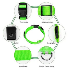 LED Glowing Dog Collar – Adjustable Rechargeable Luminous Night Safety Collar - Onlytenbucks.com