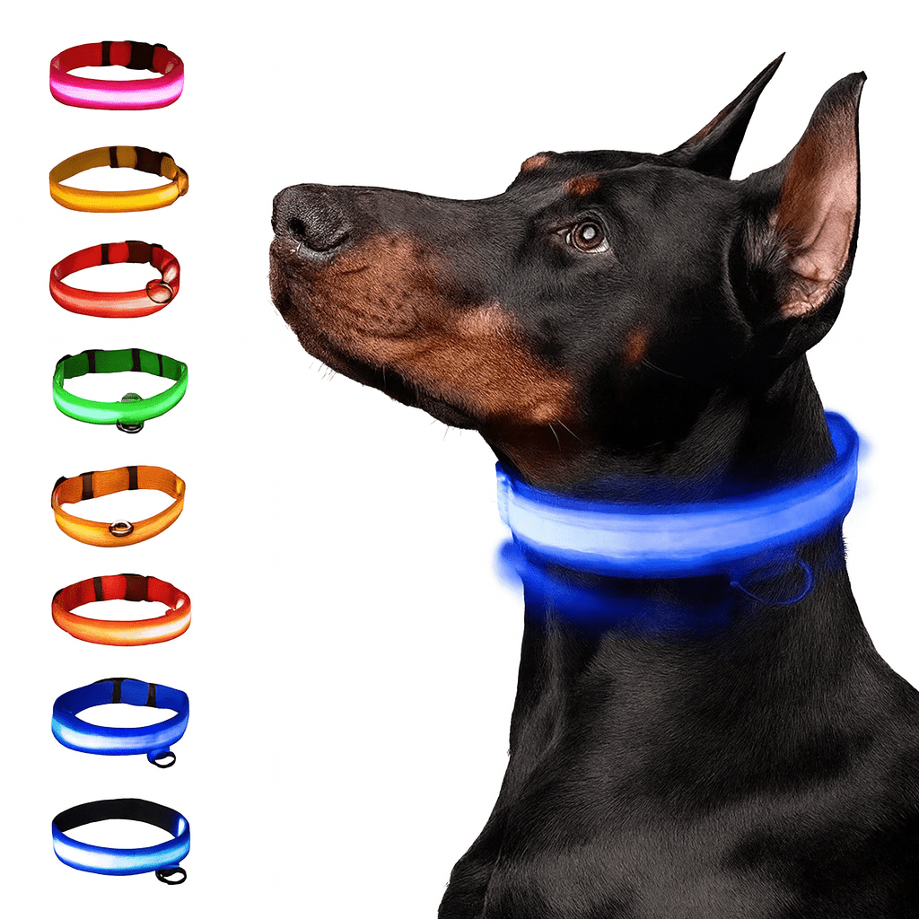 LED Glowing Dog Collar – Adjustable Rechargeable Luminous Night Safety Collar - Onlytenbucks.com