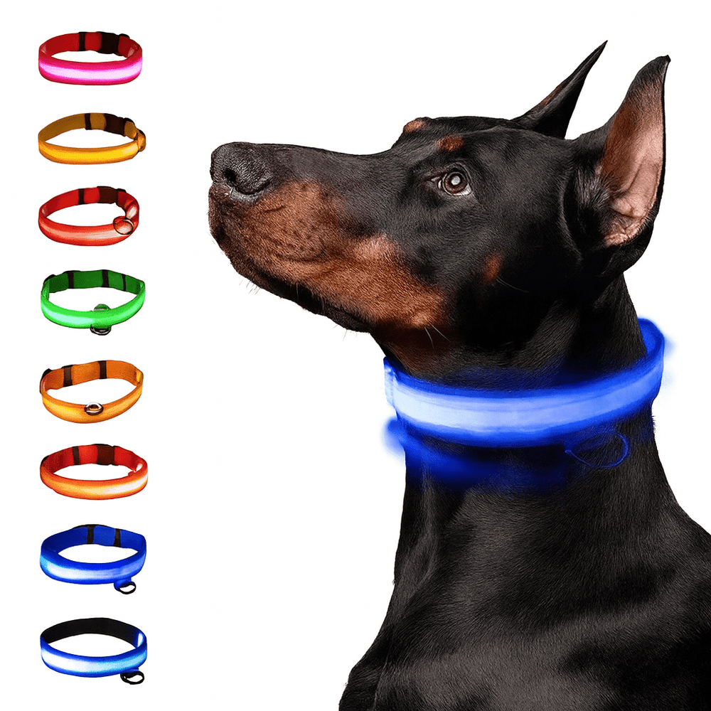 LED Glowing Dog Collar – Adjustable Rechargeable Luminous Night Safety Collar - Onlytenbucks.com