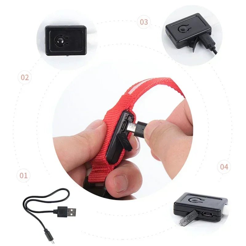 LED Glowing Dog Collar – Adjustable Rechargeable Luminous Night Safety Collar - Onlytenbucks.com