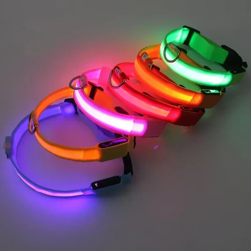LED Glowing Dog Collar – Adjustable Rechargeable Luminous Night Safety Collar - Onlytenbucks.com