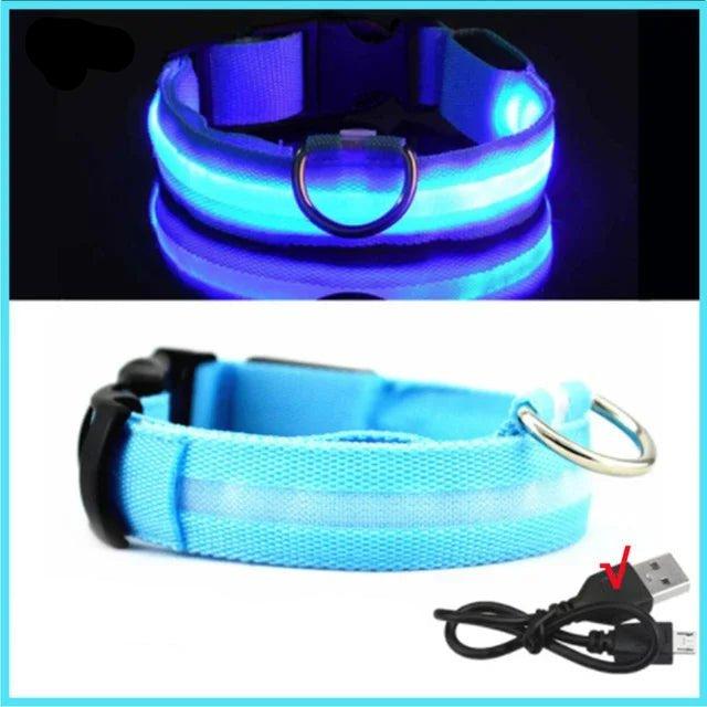 LED Glowing Dog Collar – Adjustable Rechargeable Luminous Night Safety Collar - Onlytenbucks.com