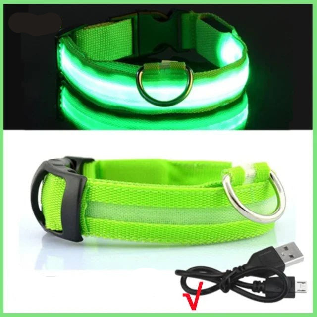 LED Glowing Dog Collar – Adjustable Rechargeable Luminous Night Safety Collar - Onlytenbucks.com