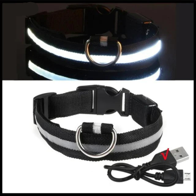 LED Glowing Dog Collar – Adjustable Rechargeable Luminous Night Safety Collar - Onlytenbucks.com