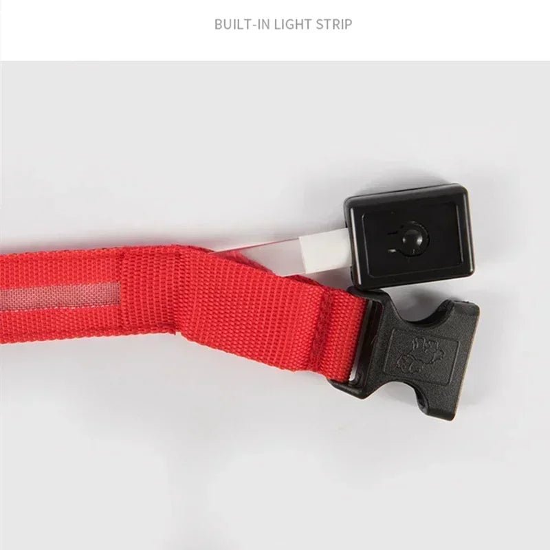 LED Glowing Dog Collar – Adjustable Rechargeable Luminous Night Safety Collar - Onlytenbucks.com
