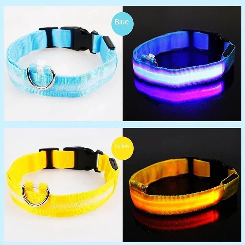 LED Glowing Dog Collar – Adjustable Rechargeable Luminous Night Safety Collar - Onlytenbucks.com