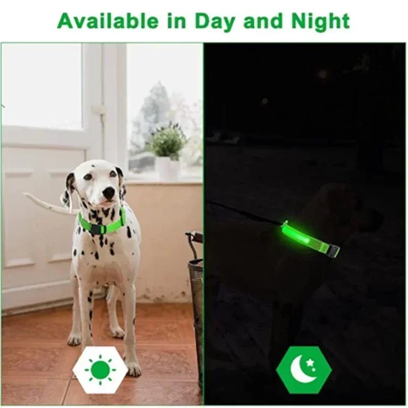 LED Glowing Dog Collar – Adjustable Rechargeable Luminous Night Safety Collar - Onlytenbucks.com
