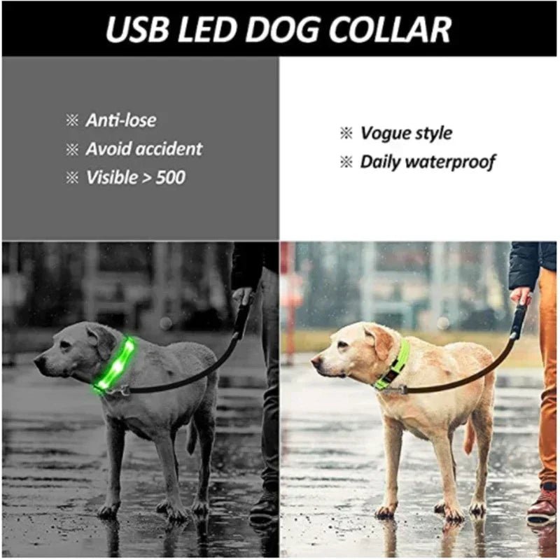 LED Glowing Dog Collar – Adjustable Rechargeable Luminous Night Safety Collar - Onlytenbucks.com