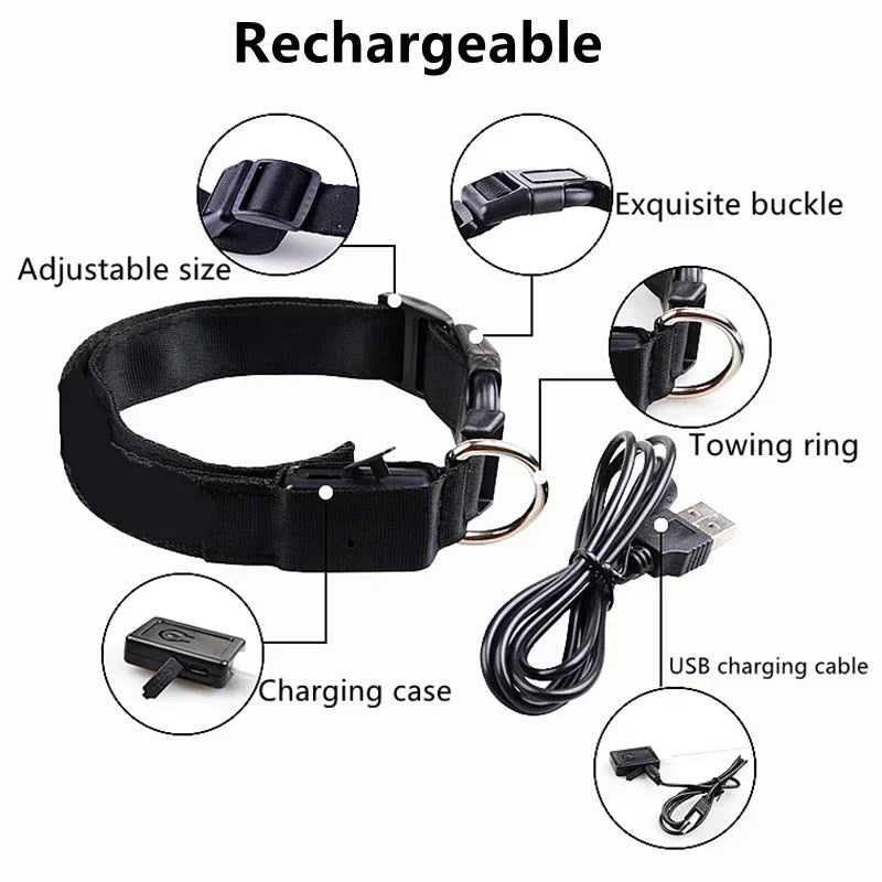 LED Glowing Dog Collar – Adjustable Rechargeable Luminous Night Safety Collar - Onlytenbucks.com