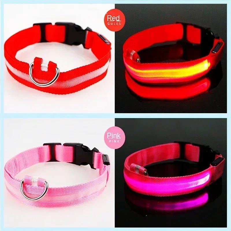 LED Glowing Dog Collar – Adjustable Rechargeable Luminous Night Safety Collar - Onlytenbucks.com