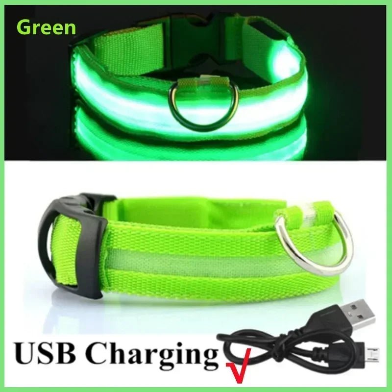 LED Glowing Dog Collar – Adjustable Rechargeable Luminous Night Safety Collar - Onlytenbucks.com