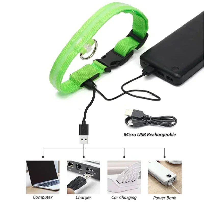 LED Glowing Dog Collar – Adjustable Rechargeable Luminous Night Safety Collar - Onlytenbucks.com