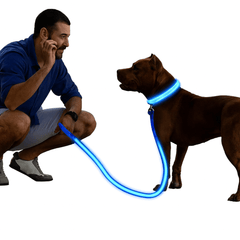 LED Glowing Dog Collar – Adjustable Rechargeable Luminous Night Safety Collar - Onlytenbucks.com