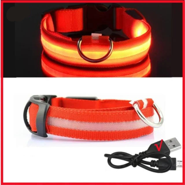 LED Glowing Dog Collar – Adjustable Rechargeable Luminous Night Safety Collar - Onlytenbucks.com