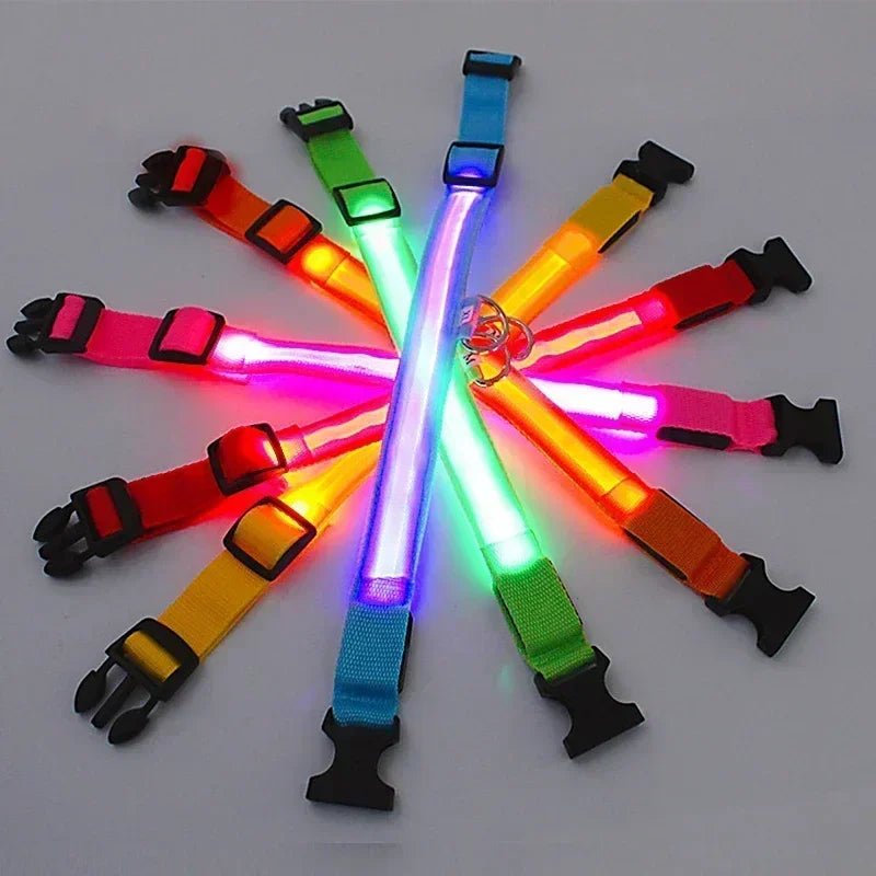 LED Glowing Dog Collar – Adjustable Rechargeable Luminous Night Safety Collar - Onlytenbucks.com