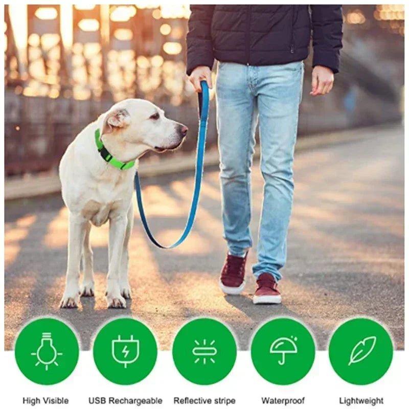 LED Glowing Dog Collar – Adjustable Rechargeable Luminous Night Safety Collar - Onlytenbucks.com