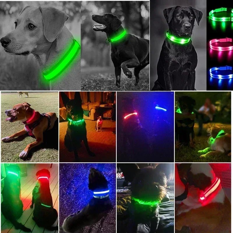 LED Glowing Dog Collar – Adjustable Rechargeable Luminous Night Safety Collar - Onlytenbucks.com