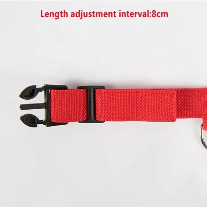 LED Glowing Dog Collar – Adjustable Rechargeable Luminous Night Safety Collar - Onlytenbucks.com