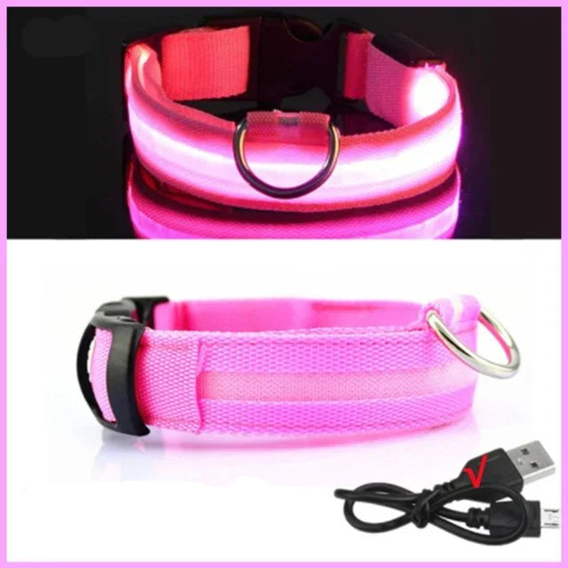 LED Glowing Dog Collar – Adjustable Rechargeable Luminous Night Safety Collar - Onlytenbucks.com