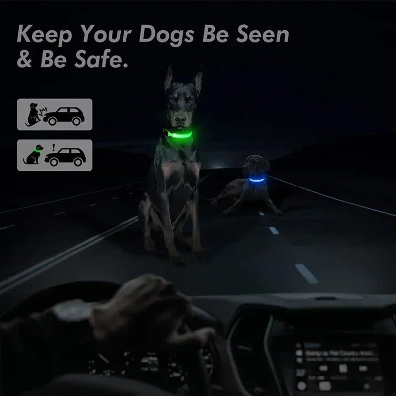 LED Glowing Dog Collar – Adjustable Rechargeable Luminous Night Safety Collar - Onlytenbucks.com