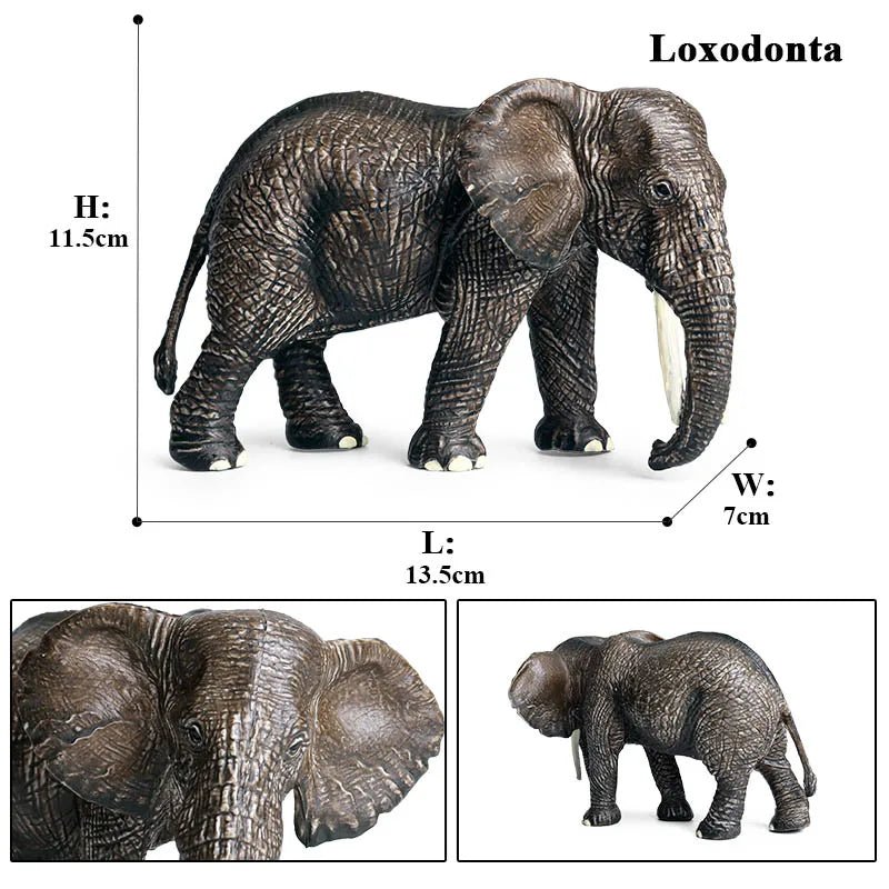 African Elephant Model Figurine – Realistic PVC Wildlife Animal - Onlytenbucks.com