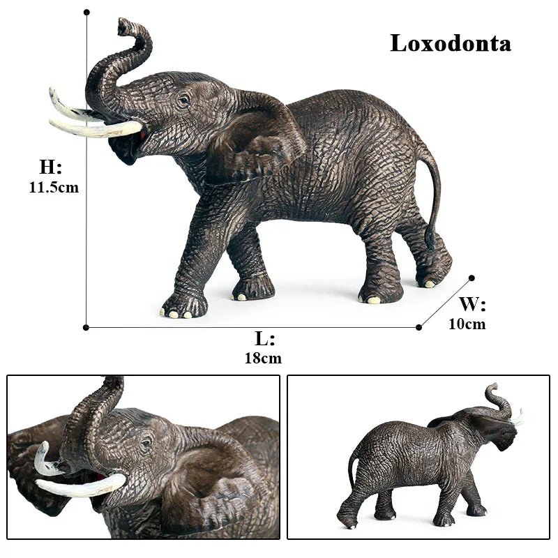 African Elephant Model Figurine – Realistic PVC Wildlife Animal - Onlytenbucks.com