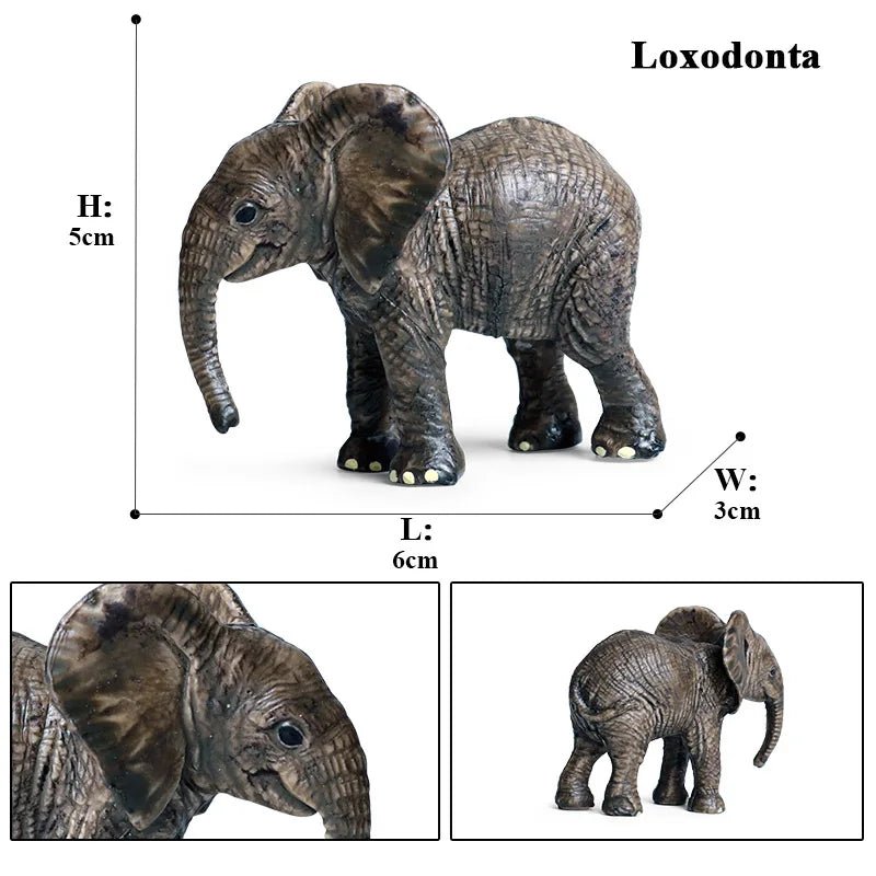 African Elephant Model Figurine – Realistic PVC Wildlife Animal - Onlytenbucks.com