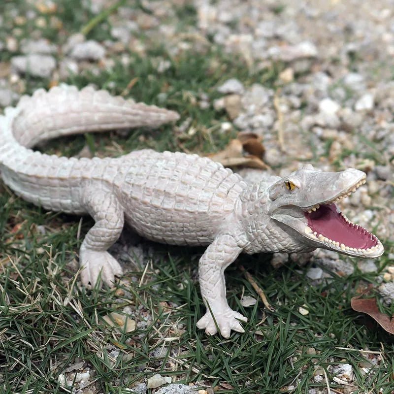 Sarcosuchus Crocodile Action Figure – Hand - Painted Wild Animal Model - Onlytenbucks.com