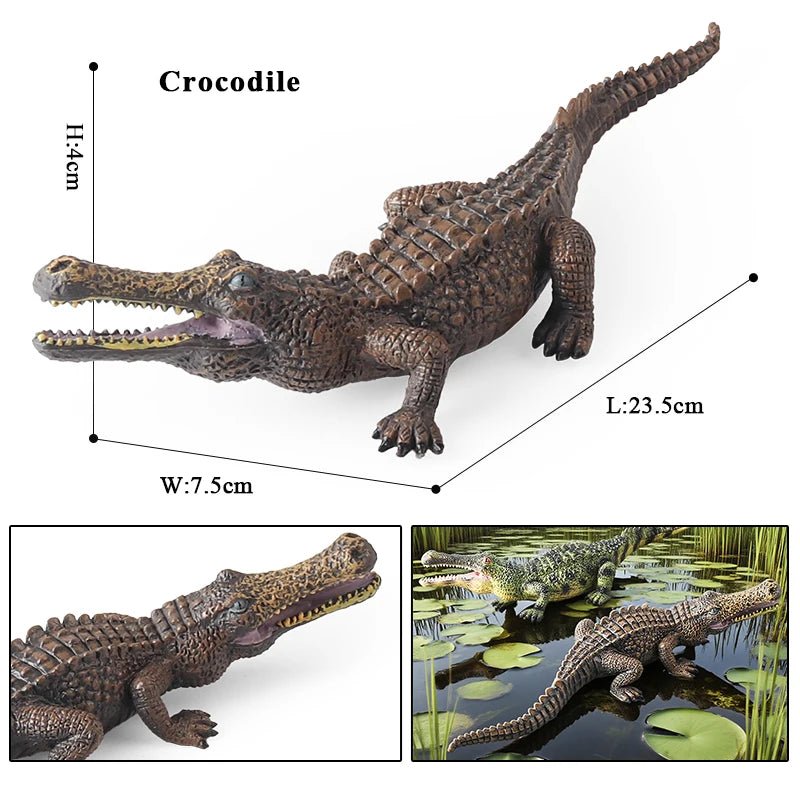 Sarcosuchus Crocodile Action Figure – Hand - Painted Wild Animal Model - Onlytenbucks.com