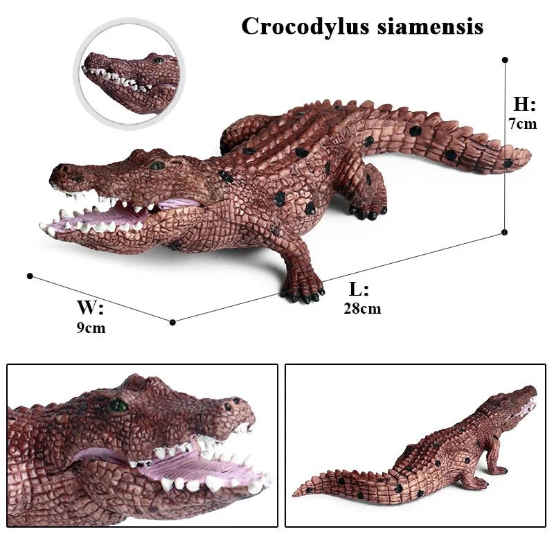 Sarcosuchus Crocodile Action Figure – Hand - Painted Wild Animal Model - Onlytenbucks.com