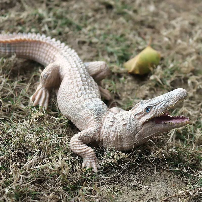 Sarcosuchus Crocodile Action Figure – Hand - Painted Wild Animal Model - Onlytenbucks.com