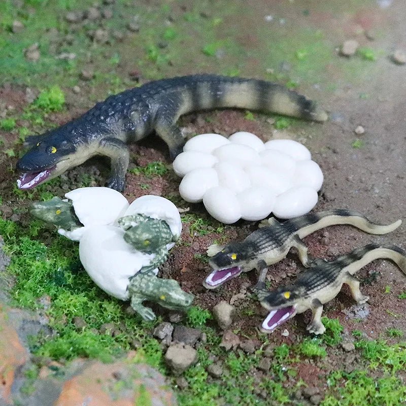 Sarcosuchus Crocodile Action Figure – Hand - Painted Wild Animal Model - Onlytenbucks.com