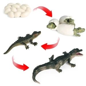 Sarcosuchus Crocodile Action Figure – Hand - Painted Wild Animal Model - Onlytenbucks.com