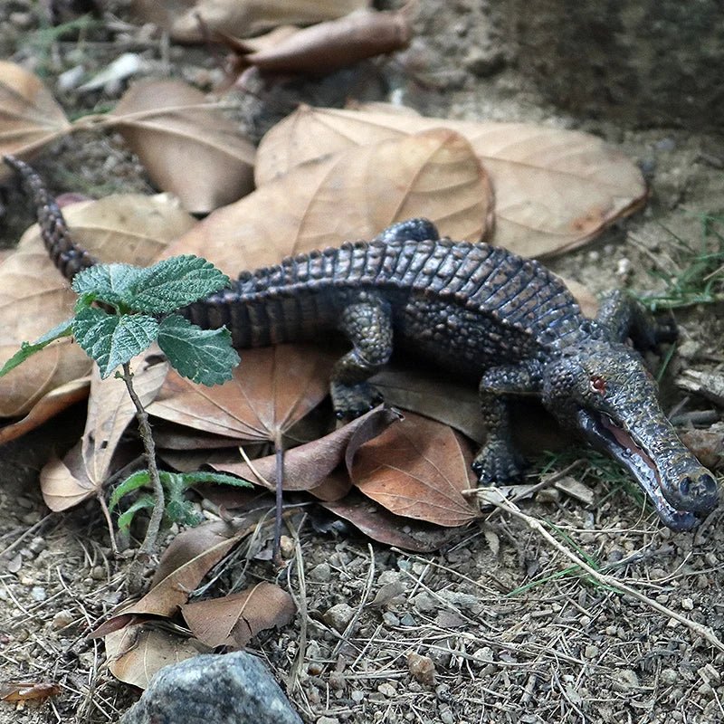 Sarcosuchus Crocodile Action Figure – Hand - Painted Wild Animal Model - Onlytenbucks.com