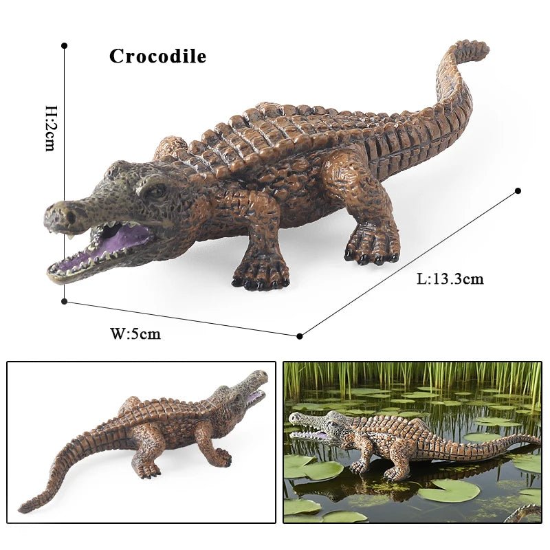 Sarcosuchus Crocodile Action Figure – Hand - Painted Wild Animal Model - Onlytenbucks.com