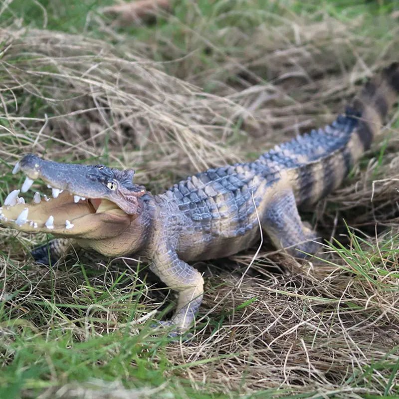 Sarcosuchus Crocodile Action Figure – Hand - Painted Wild Animal Model - Onlytenbucks.com
