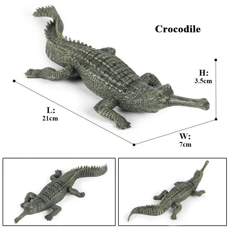 Sarcosuchus Crocodile Action Figure – Hand - Painted Wild Animal Model - Onlytenbucks.com