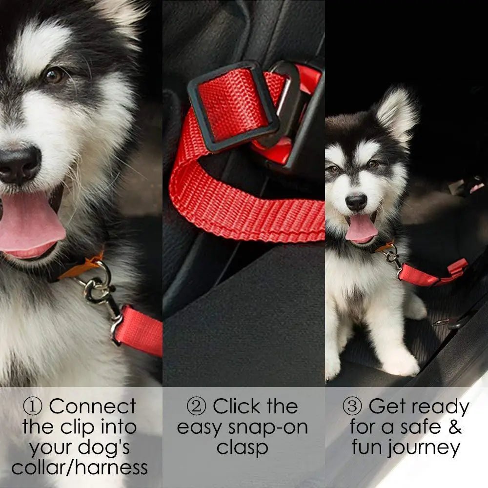 Pet Car Seat Belt Harness – Adjustable Nylon Safety Protector - Onlytenbucks.com