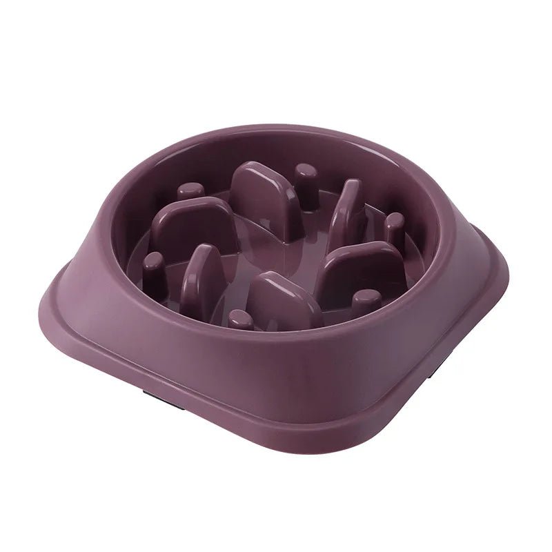 Pet Cat Dog Slow Feeder Bowl – Anti - Choking - Onlytenbucks.com
