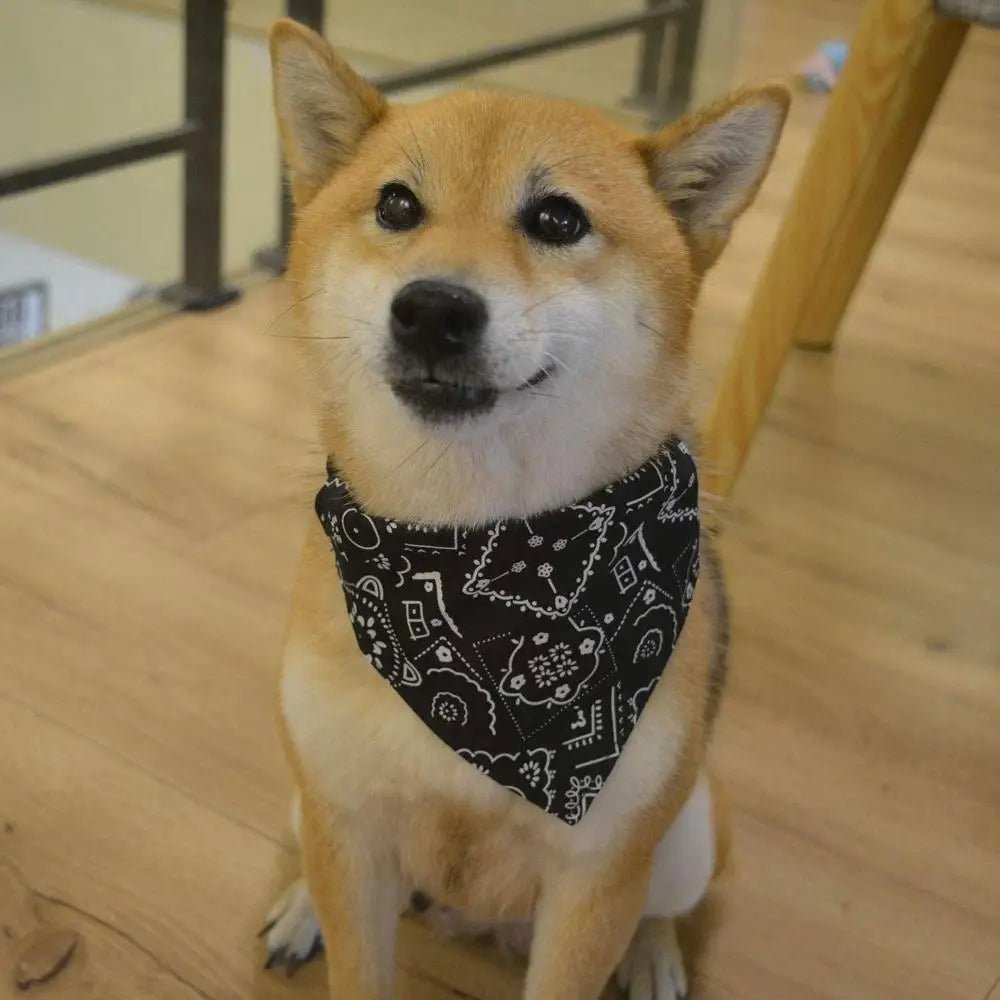 Plaid Dog Bandana Scarf – Adjustable Washable Pet Neck Accessory - Onlytenbucks.com