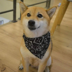 Plaid Dog Bandana Scarf – Adjustable Washable Pet Neck Accessory - Onlytenbucks.com